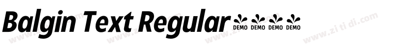 Balgin Text Regular字体转换